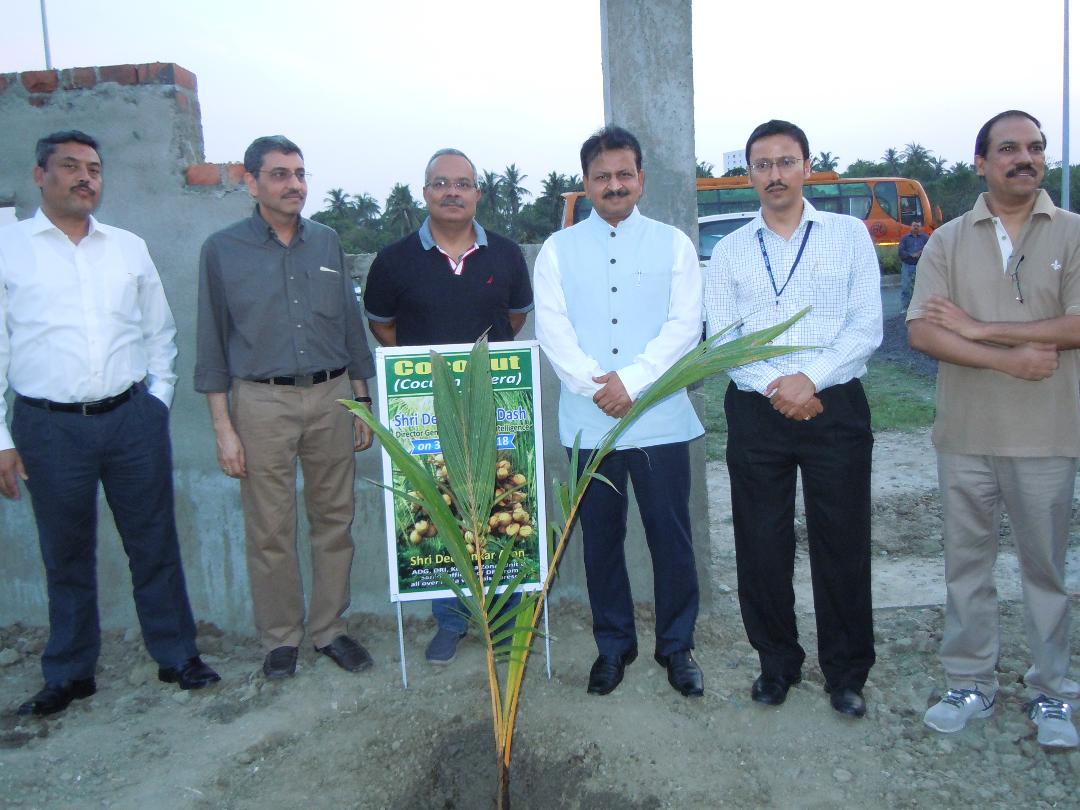 Tree plantation by DGRI at newly acquired plot of Kolkata Zonal Unit